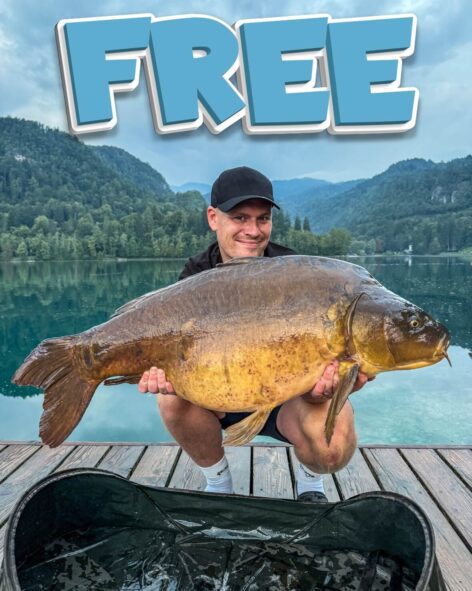 Angler proudly holding an enormous, stunning Lake Bled carp — the ultimate dream catch. Enter Carp Life Competitions for your chance to win a free trip to fish this world-famous venue!