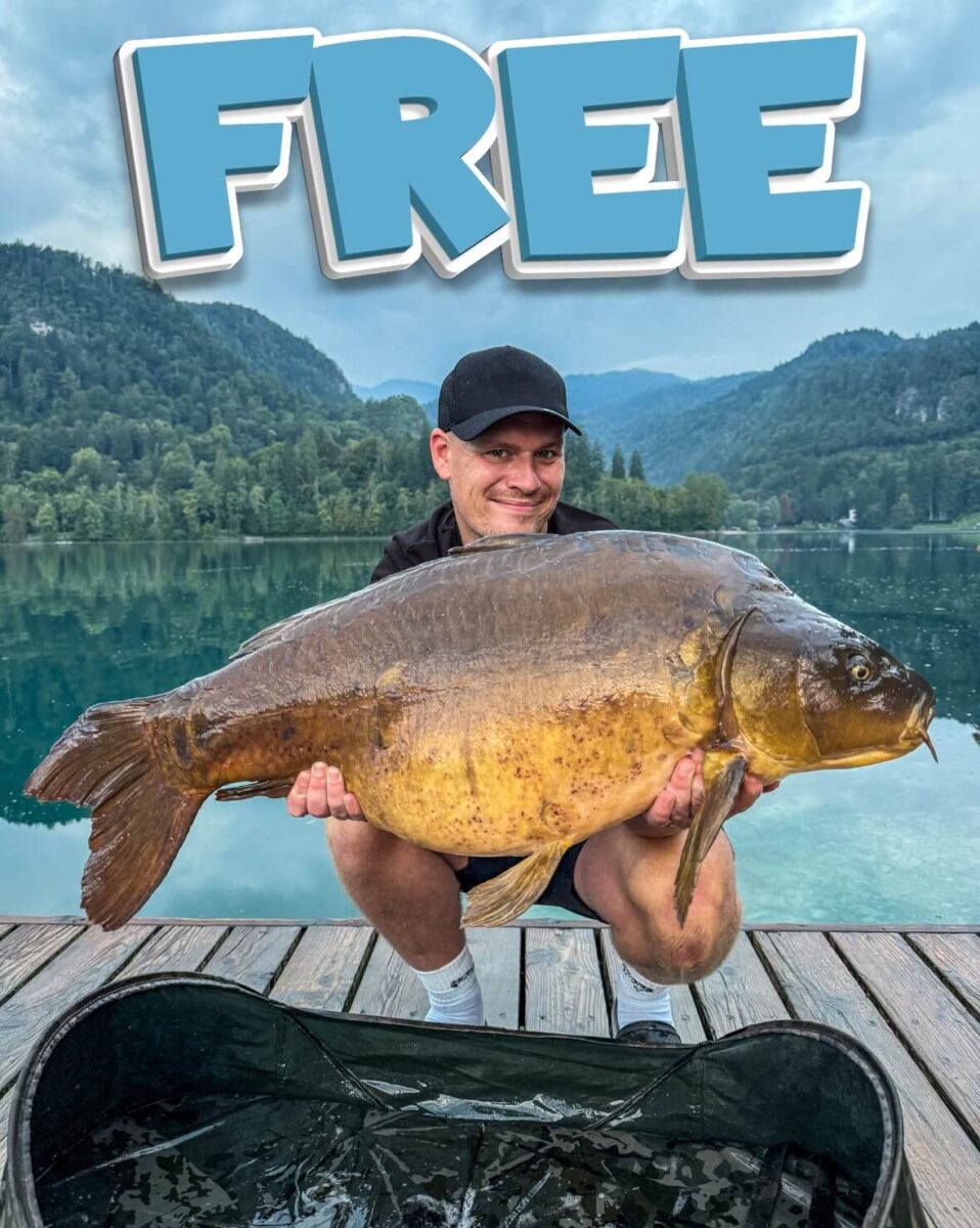 Angler proudly holding an enormous, stunning Lake Bled carp — the ultimate dream catch. Enter Carp Life Competitions for your chance to win a free trip to fish this world-famous venue!